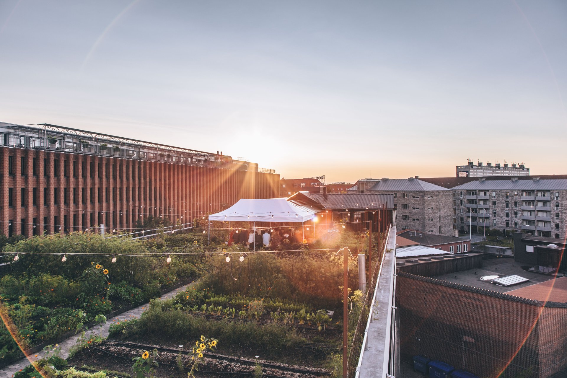 Luftfoto af tagfarm på Østerbro