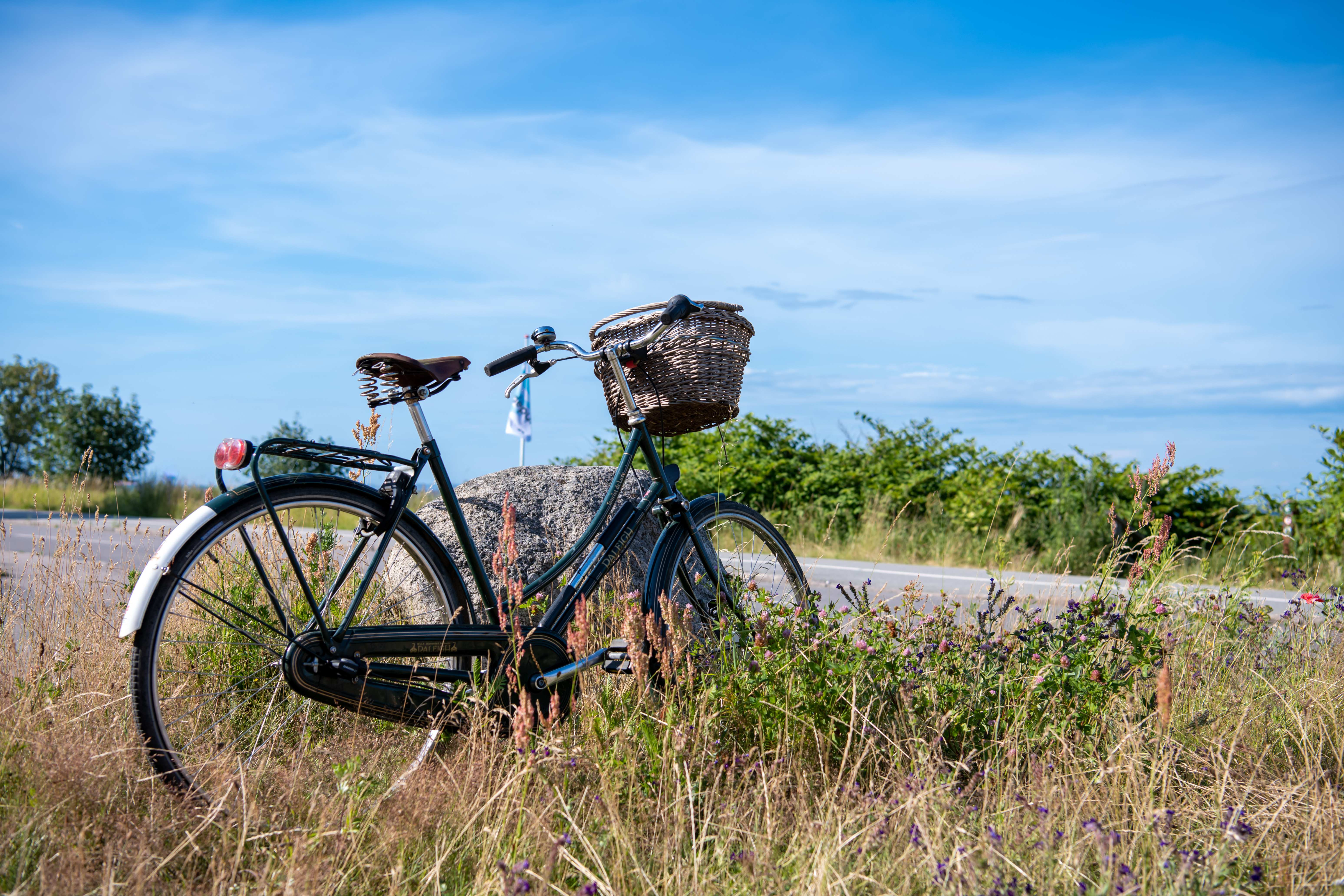 Cykel stå i naturen