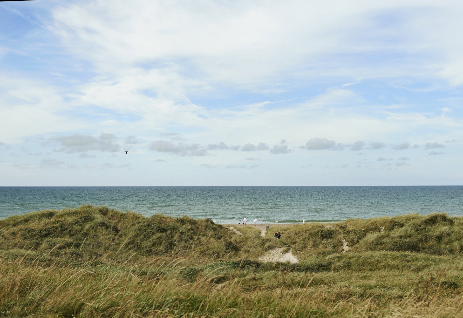 Foto af strand og hav i Vestjylland