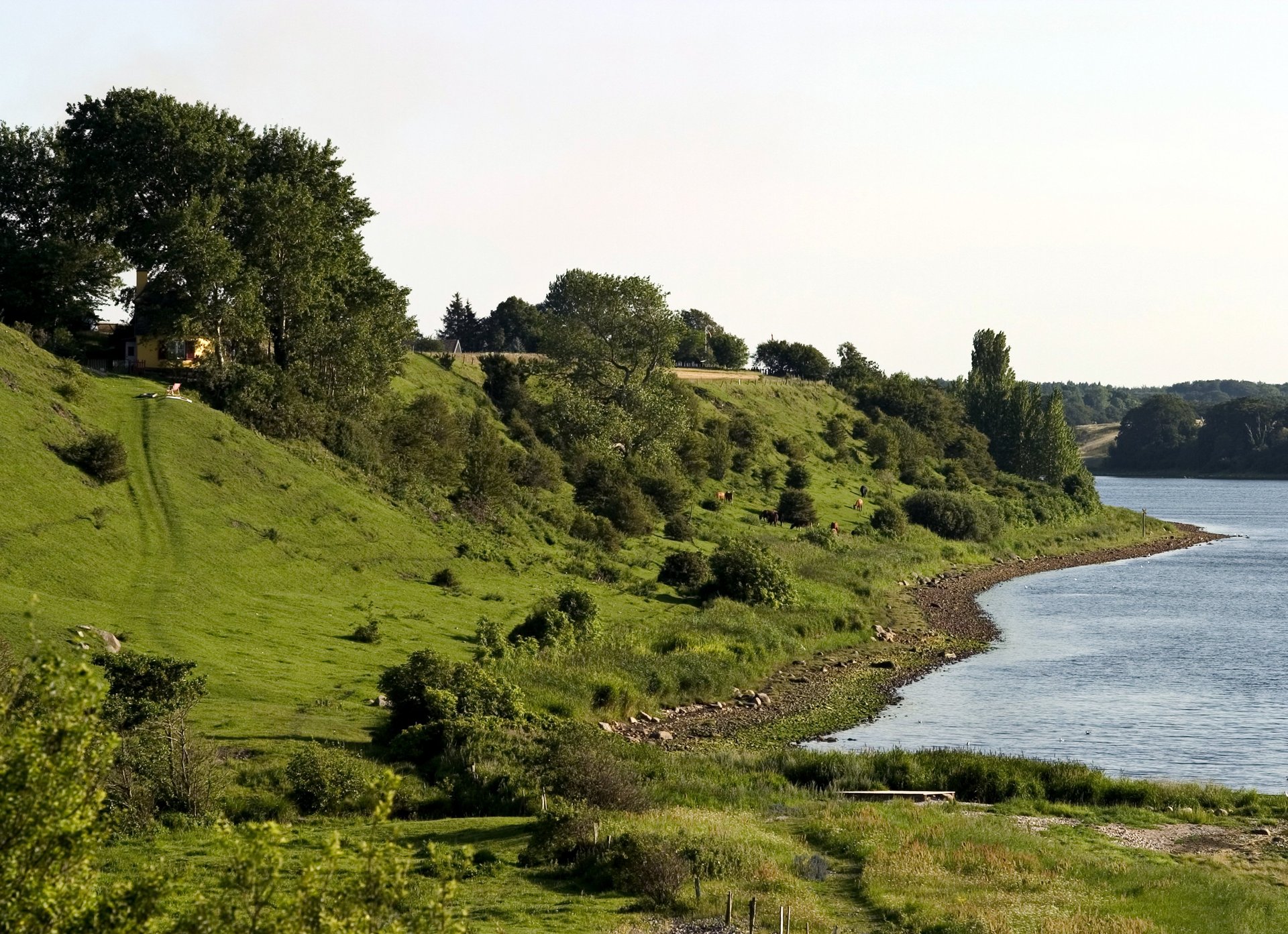 Naturfoto af Bramsnæs ved Lammefjorden