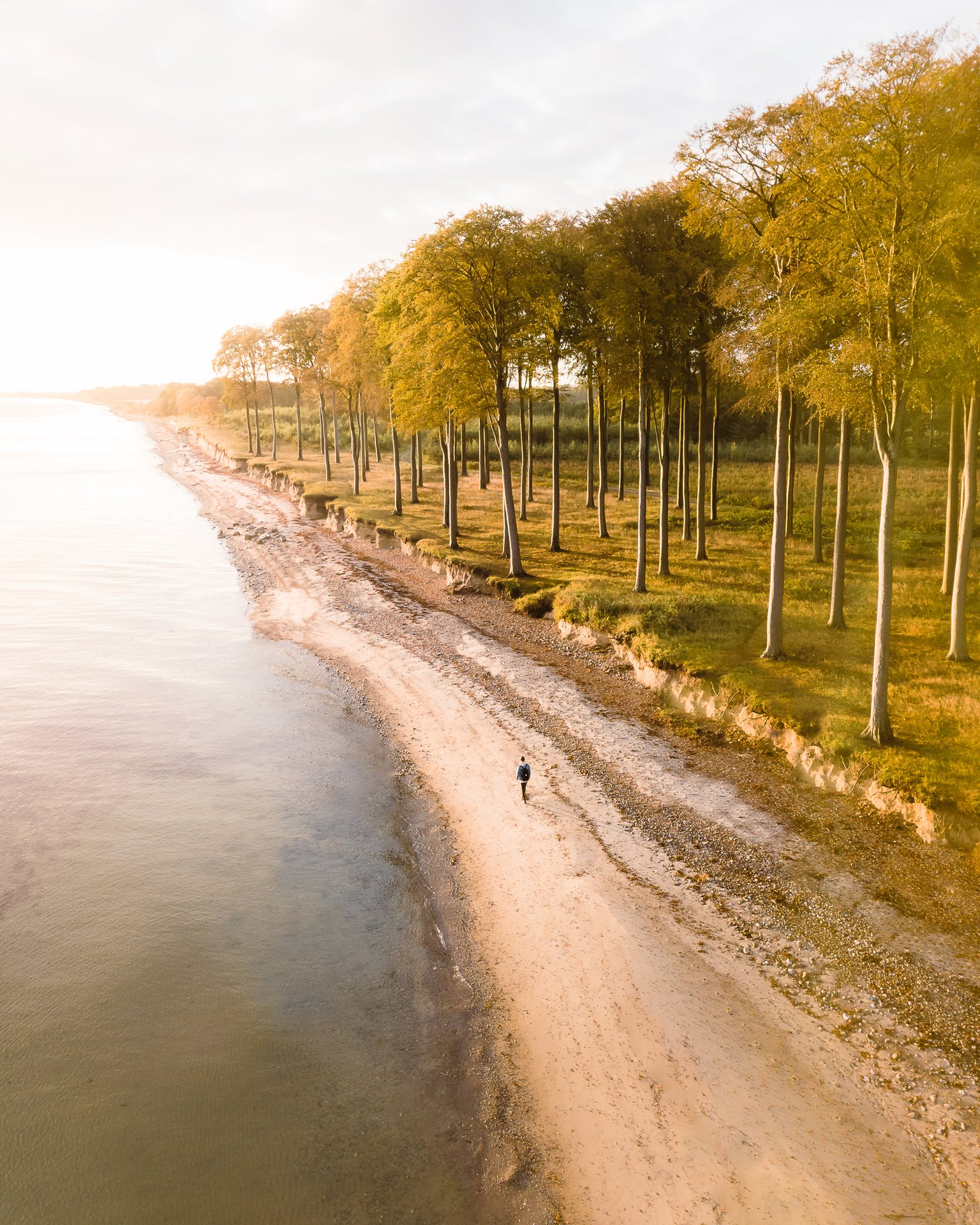 Luftfoto af Flyvesandet med strand og træer