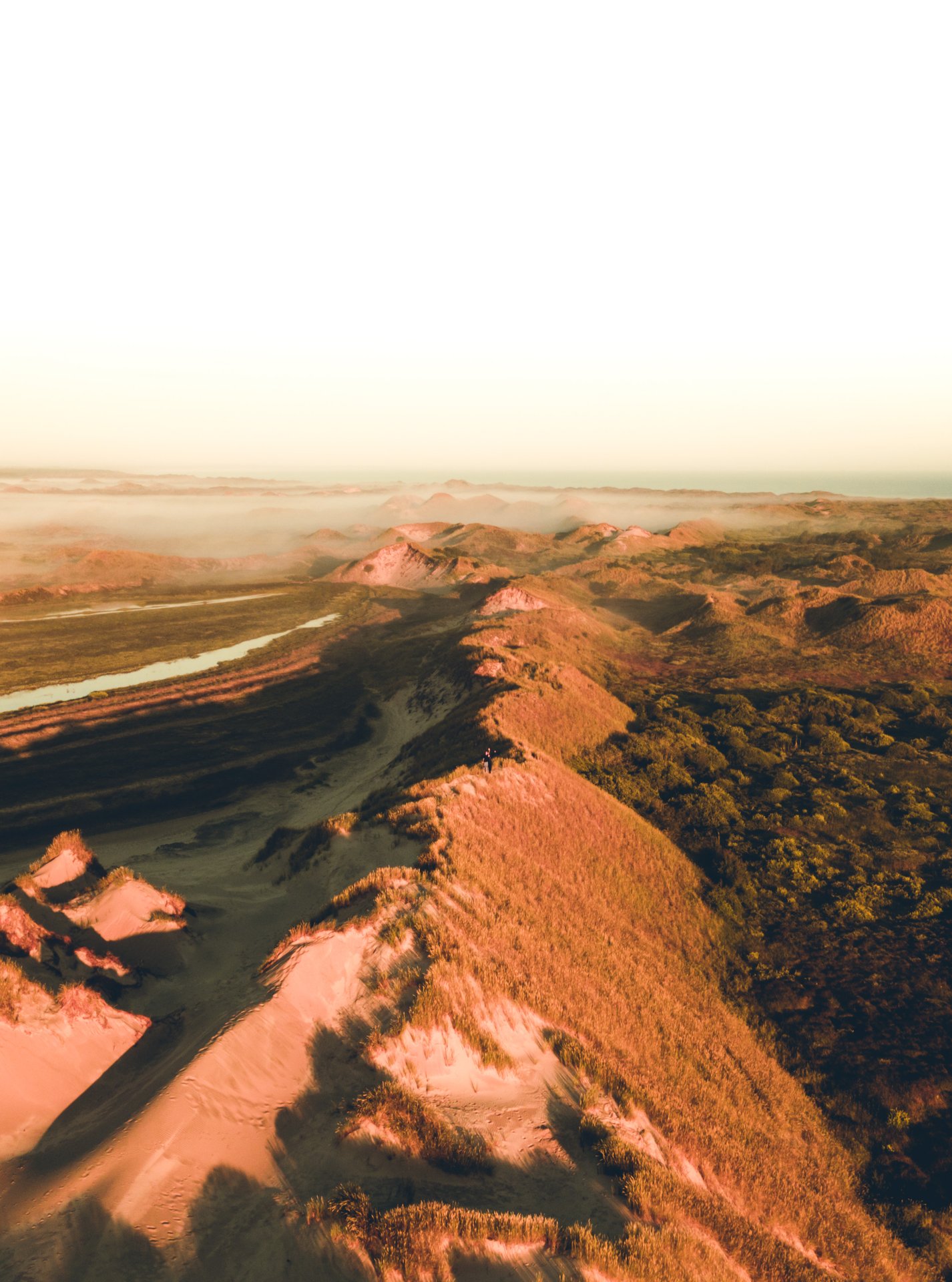 Naturfoto af Råbjerg Mile