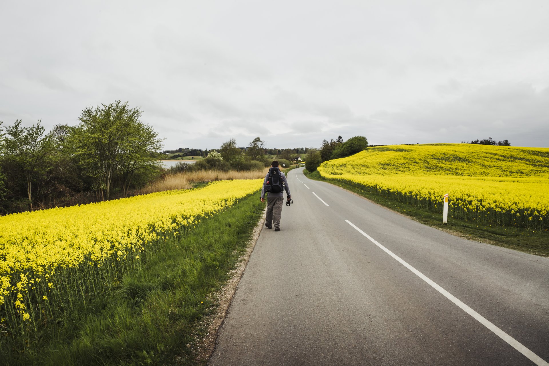 En backpacker går langs vejen på Tisvildevejen med ryggen til