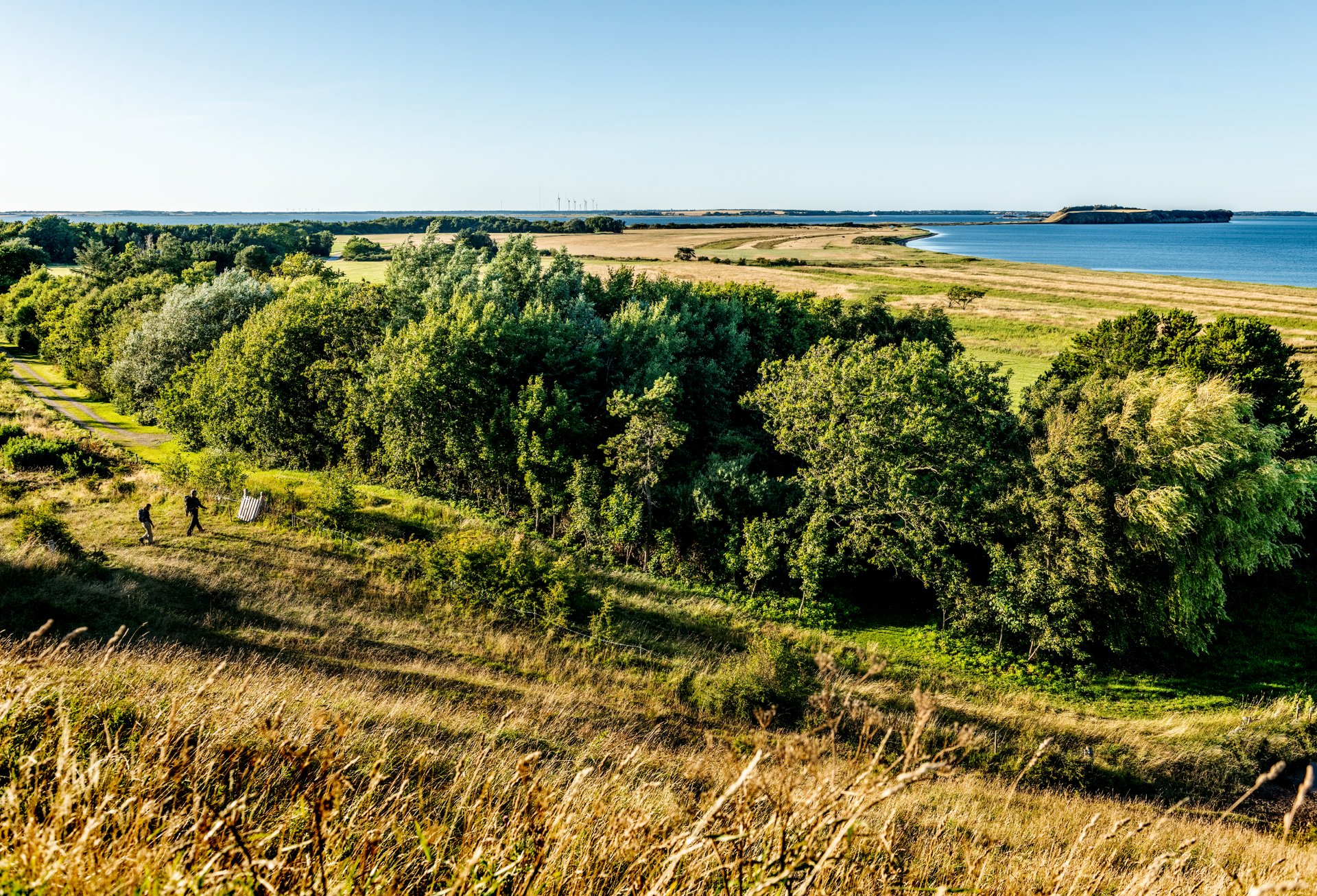 Naturfoto af Mors 