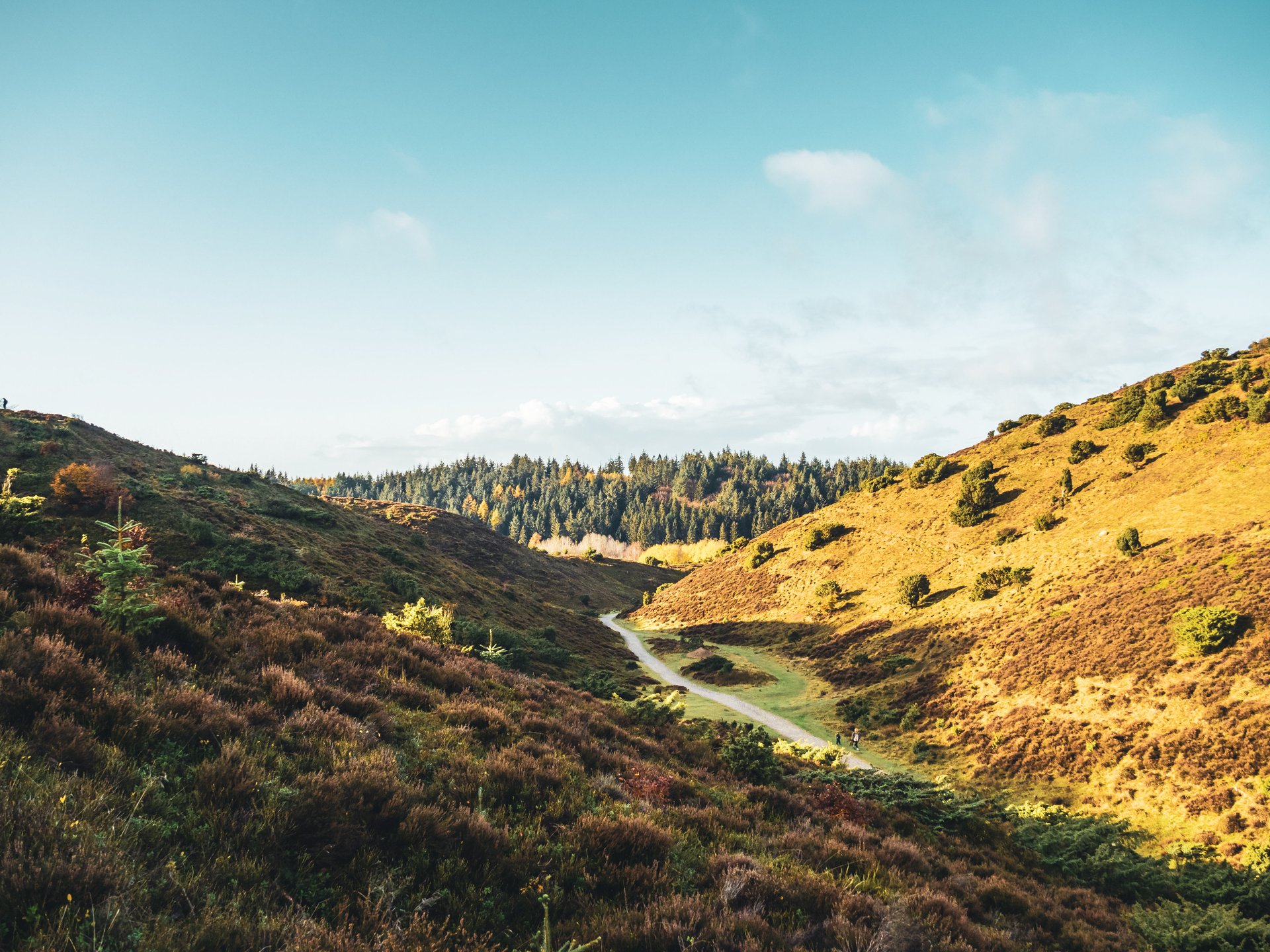 Foto af Rebild National Park