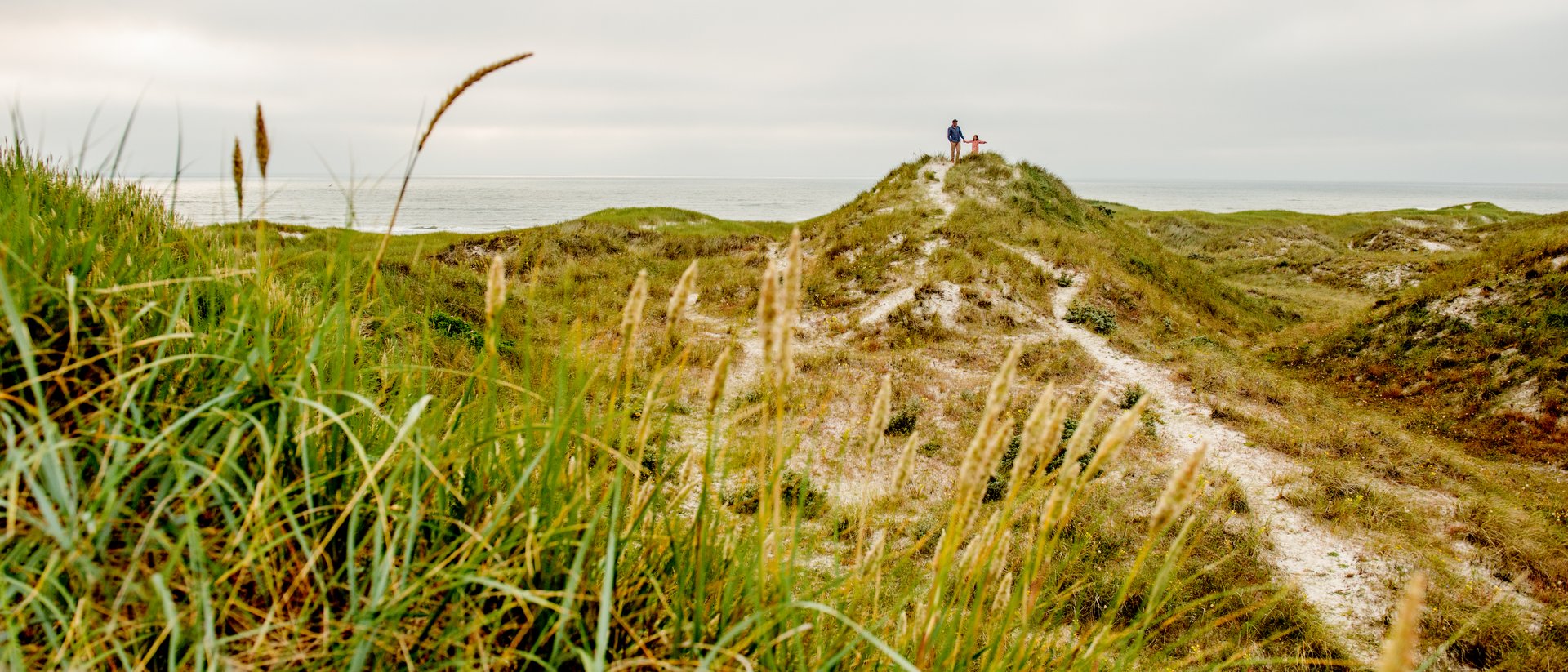 Foto af den smukke natur ved Henne Strand