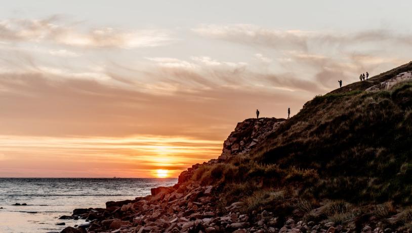 Solnedgang ved Hammerhavnen