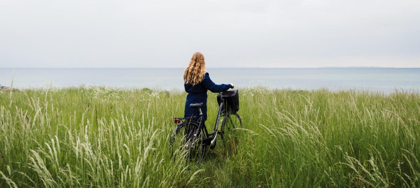 Nordkyststien i Nordsjælland