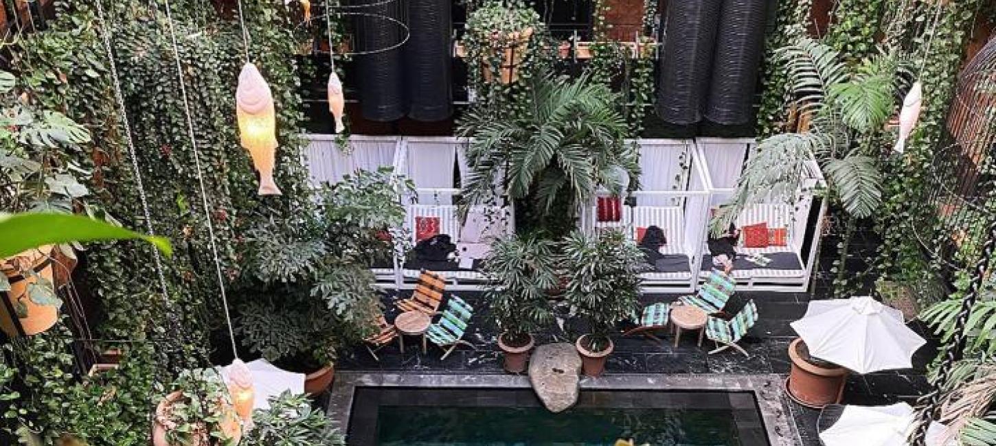 Kvinde svømmer i swimming pool blandt jungle-planter