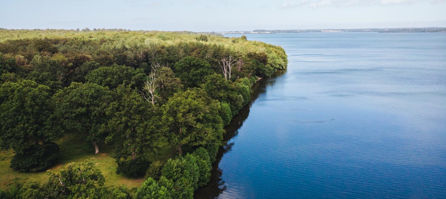 Naturbillede med skov og hav