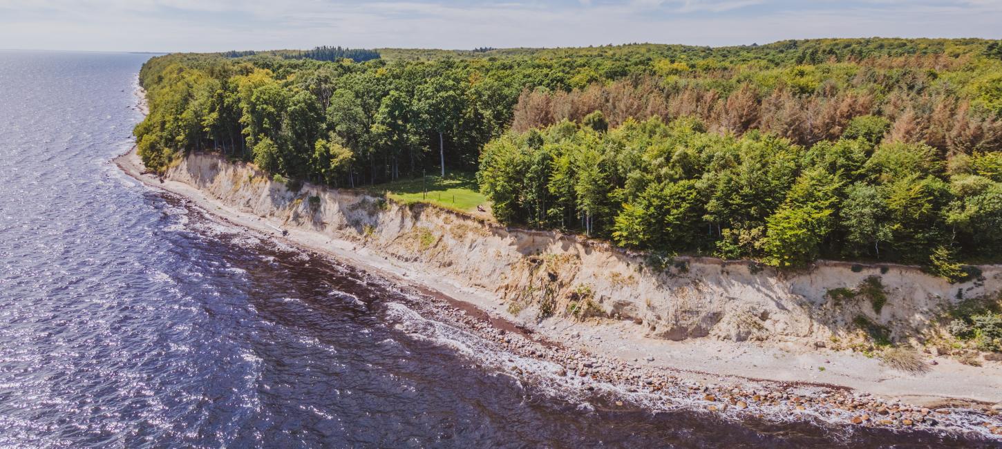 Ovenfra foto af strand, hav og skov