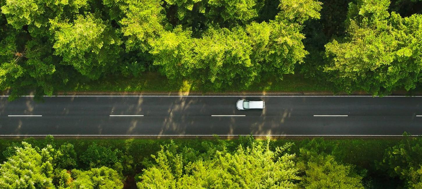 En bil kører på en vej gennem skov set oppefra
