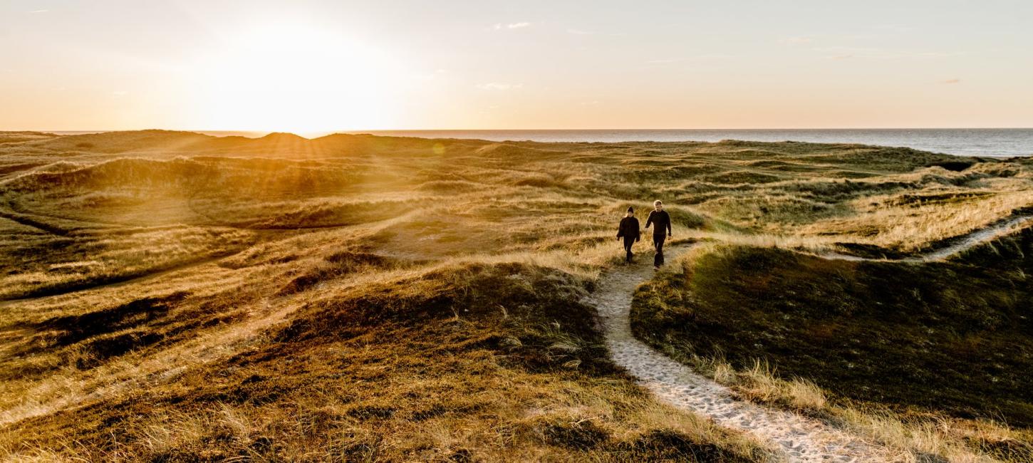 Foto af landskabet i Thy Naturpark