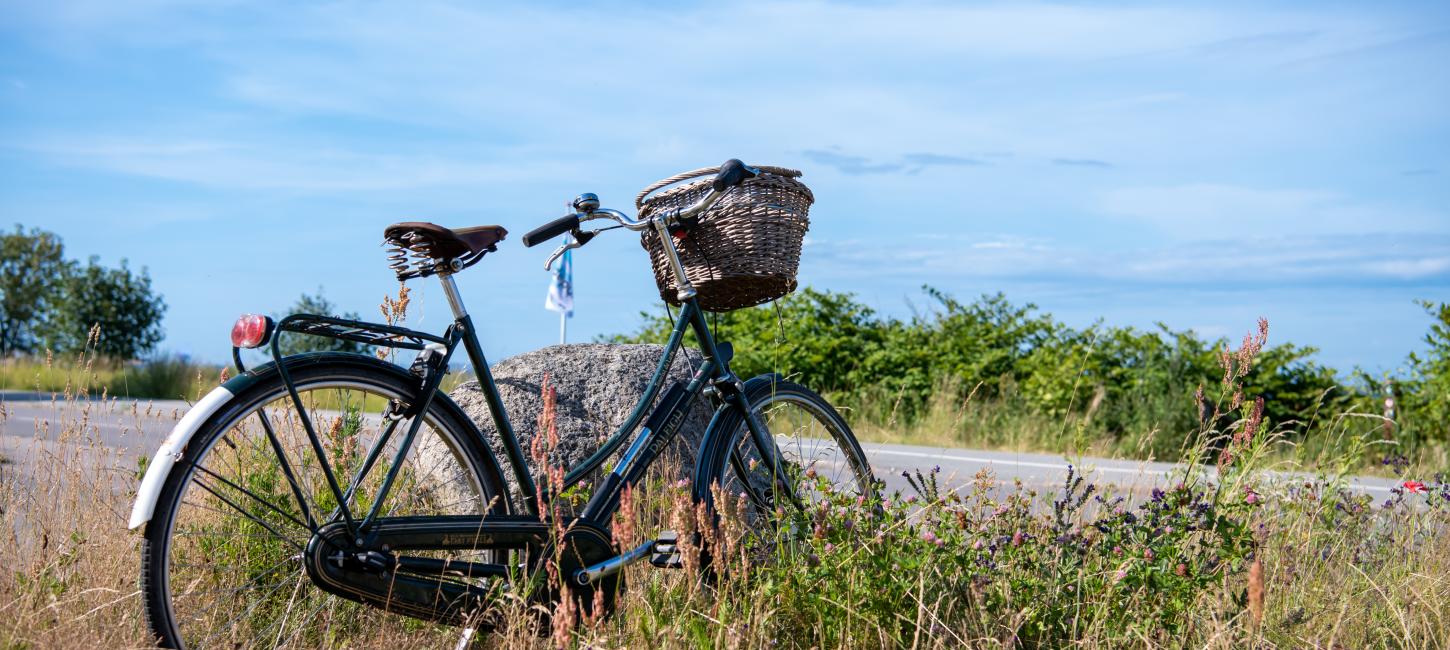 Cykel stå i naturen