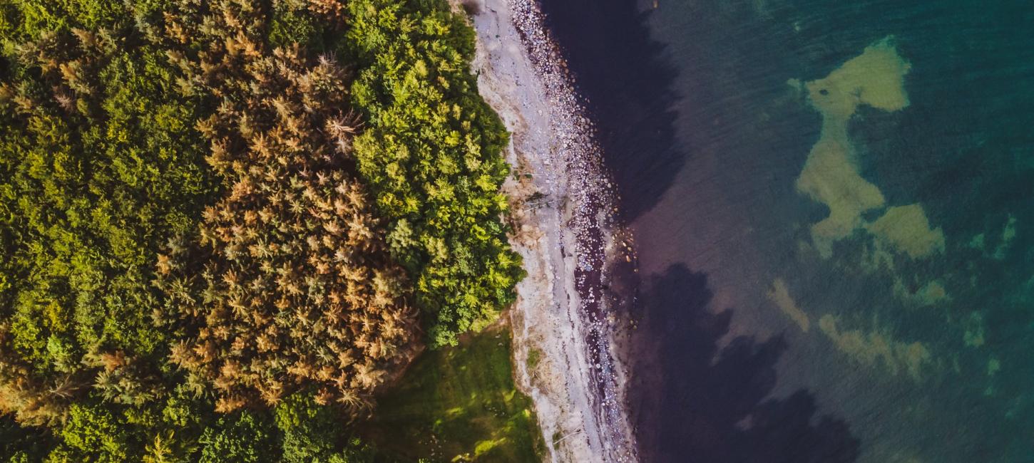 Luftfoto af naturen i Hesnæs