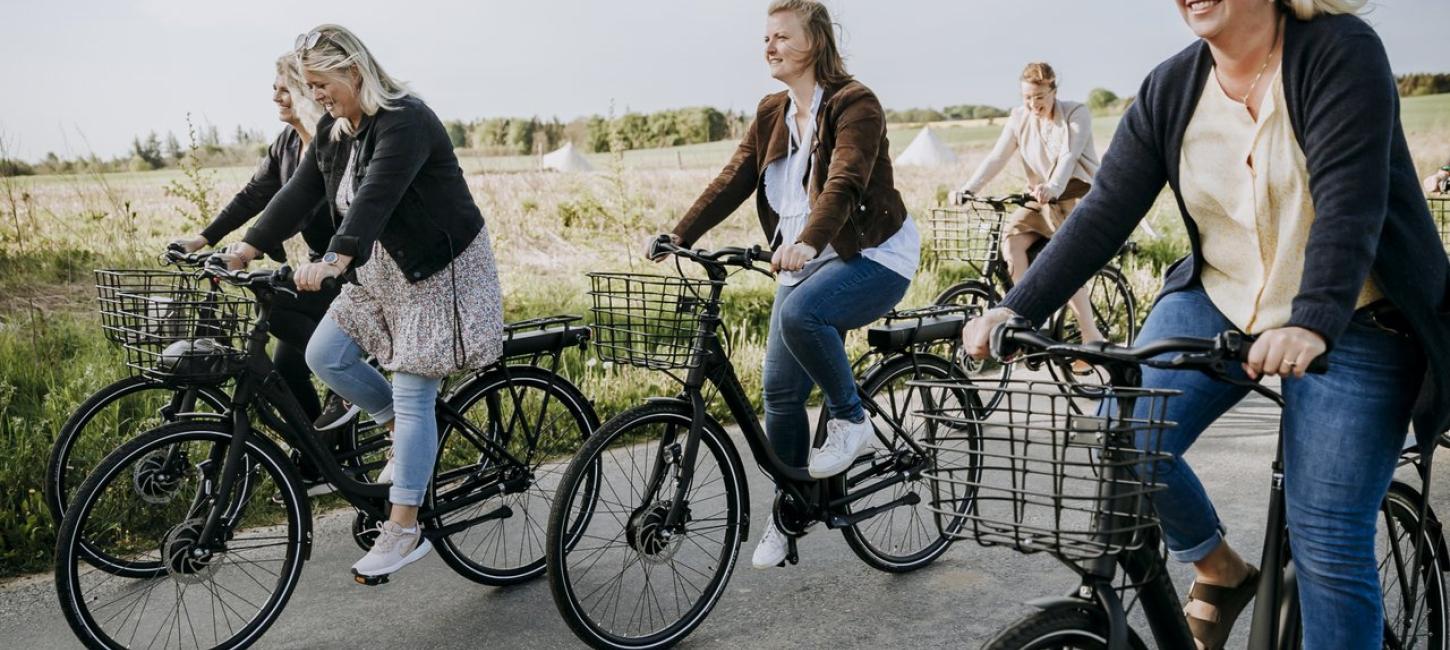 Fire cyklister cykler på en sti i naturen