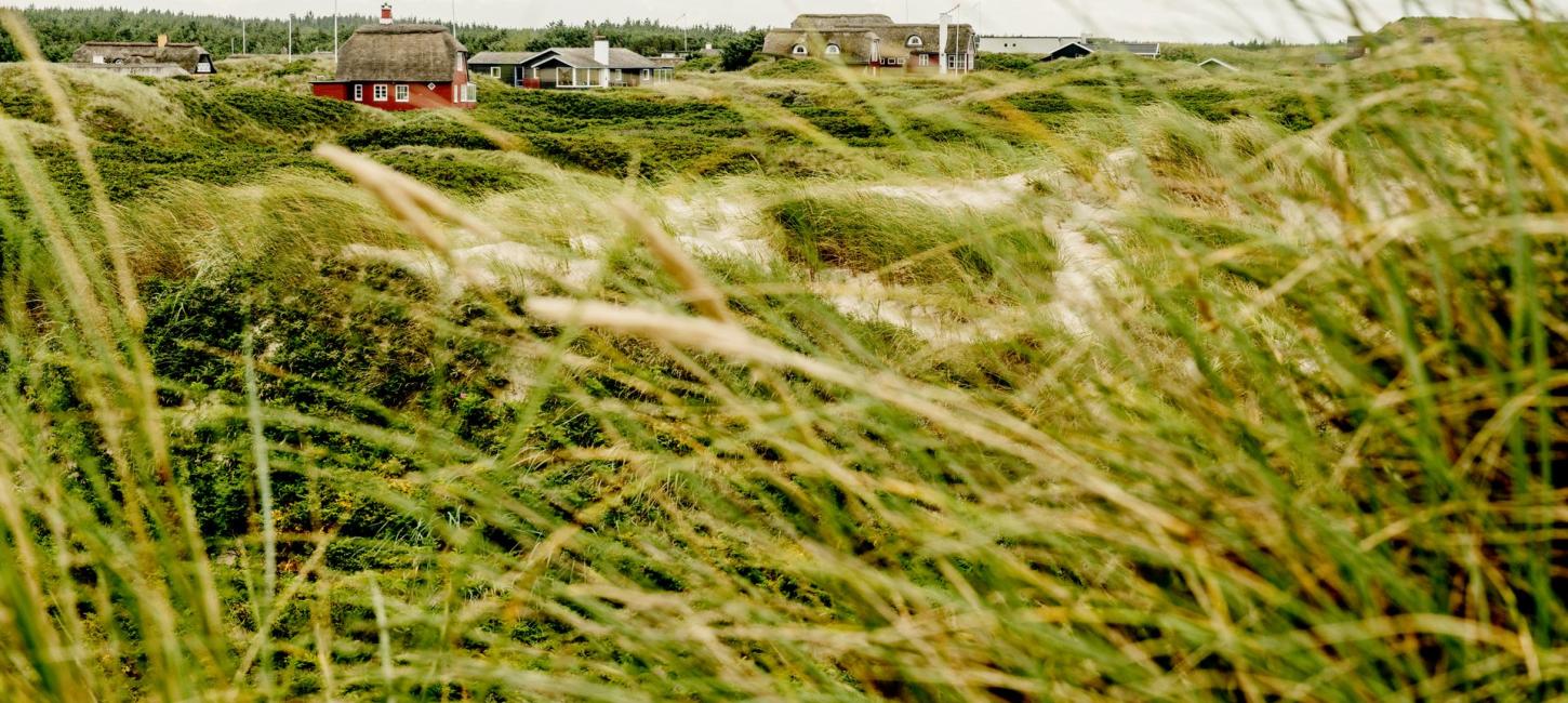 Foto af sommerhuse i naturen i Løkken