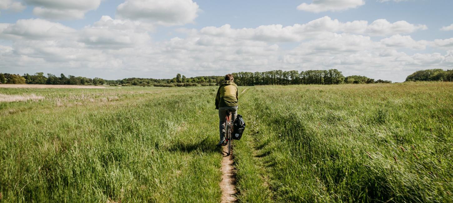 Foto af person der cykler gennem Hornbæk plantage 