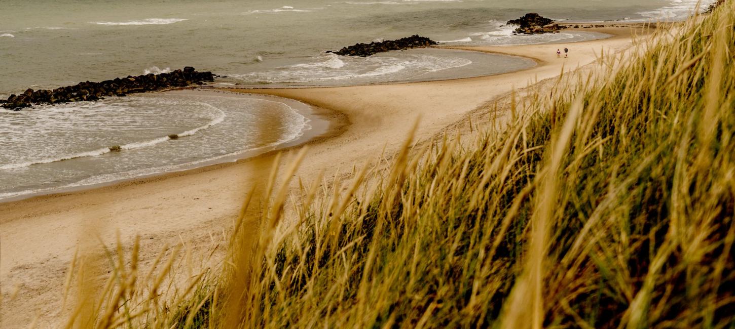 Foto af hav og kyst langs Skagen