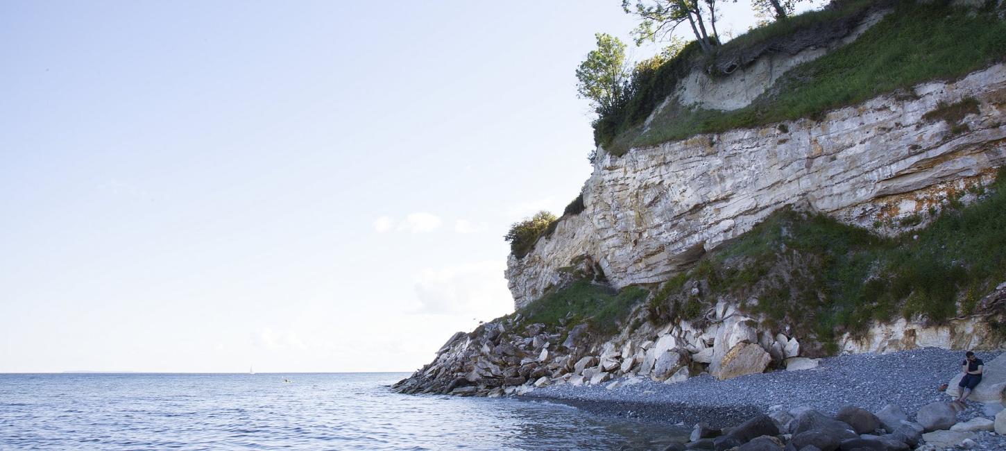 Foto af Stevns Klint ved havkanten