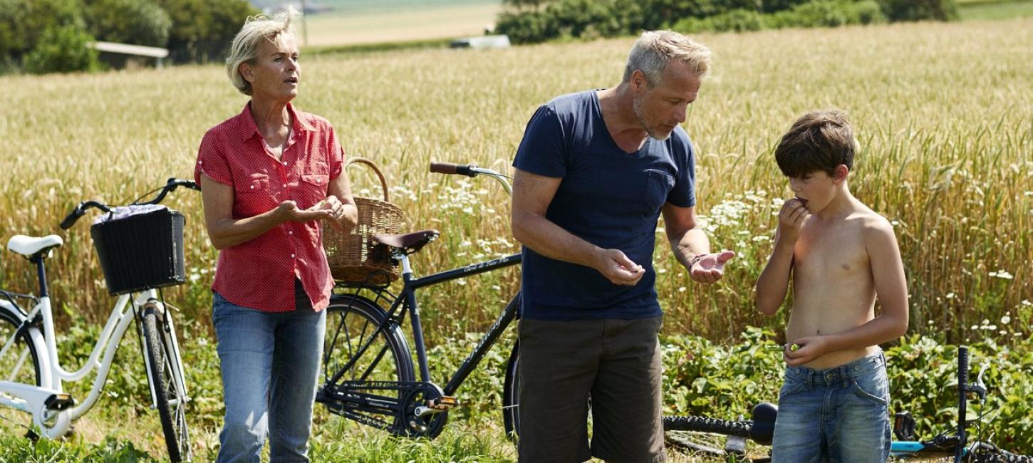 Tre personer plukker jordbær fra en mark på deres cykeltur