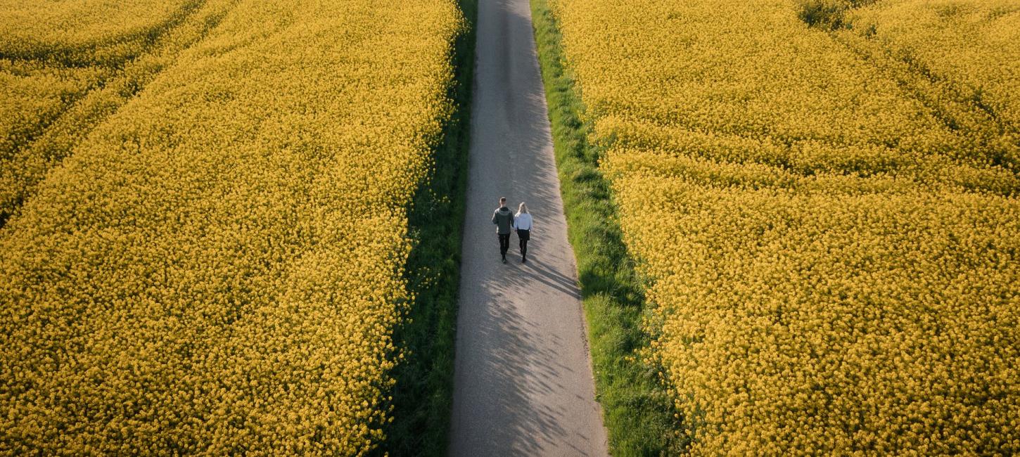 Luftfoto af to personer der går på en sti mellem to gule marker