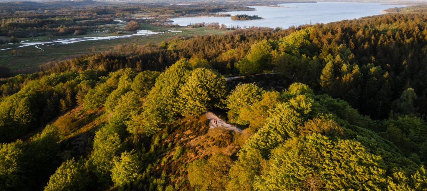 Luftfoto af smuk skov og sø set fra Sukkertoppen