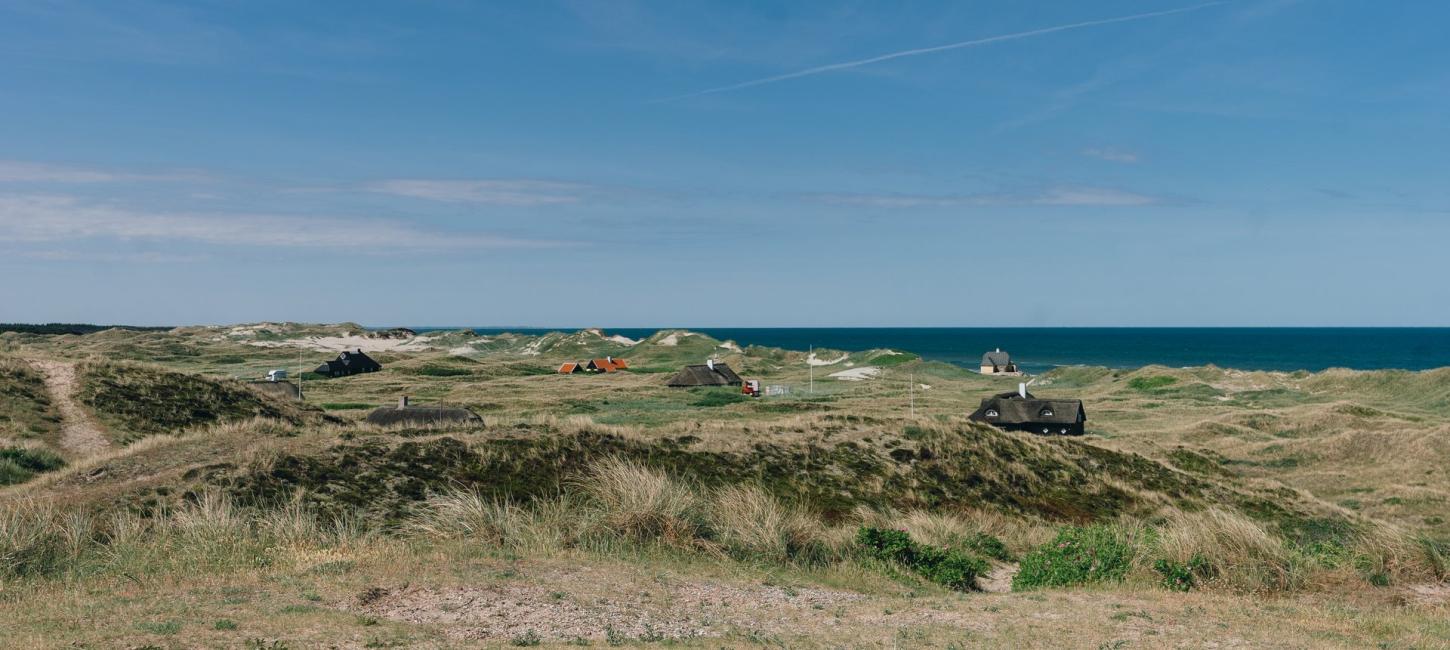 Foto af strand ved Skagen