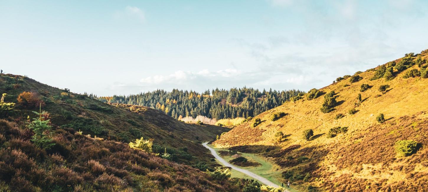 Foto af Rebild National Park