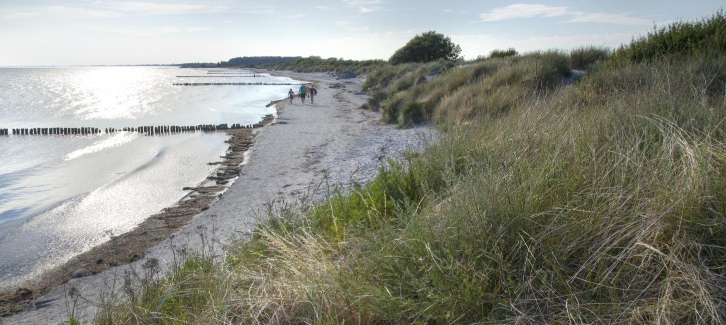 Tre personer går lands vandkanten på Møn strand