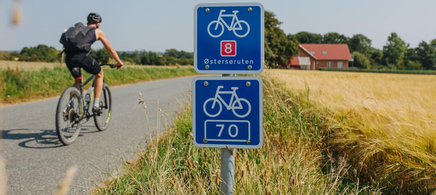 En cyklist cykler på en landevej gennem gule marker