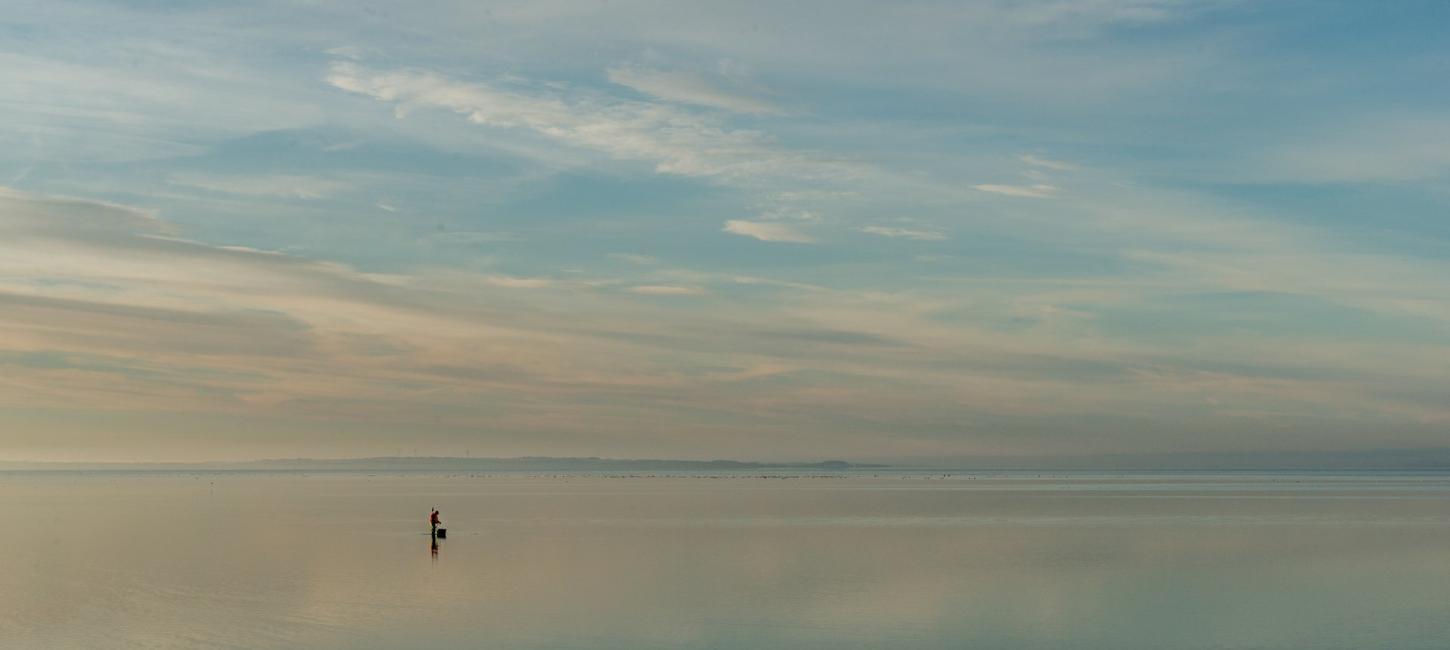 Foto af havet og kysten ved Limfjorden