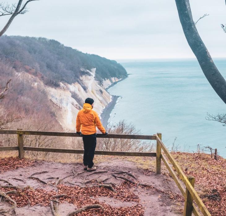 Udsigt over Moens Klint